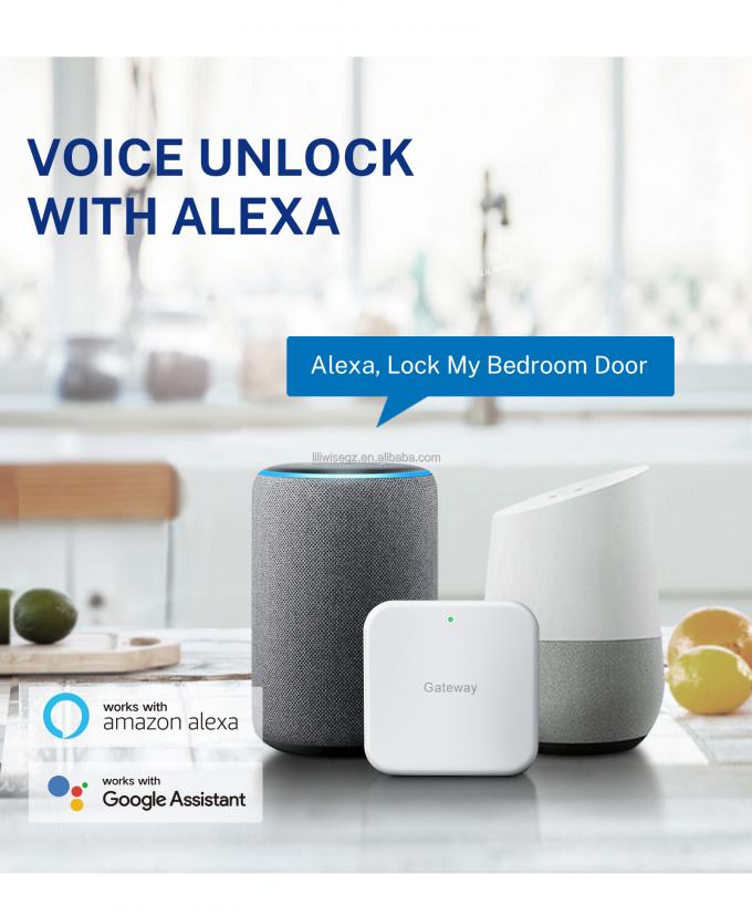 Tuya WiFi BLE Smart Door Lock met vingerafdruk en toetsenbord 4