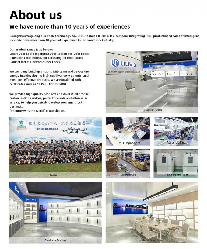 Slot van de vingerafdruk het Slimme Deur 11