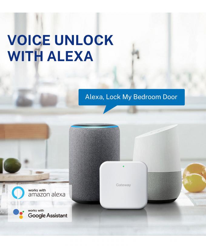 Liliwise Security Digitale deurbel Tuya Wifi Slimme vingerafdruk slot Gezichtherkenning Camera Deur slot Controle De Accesos 24