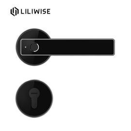 De Deurslot van de woonplaatsvingerafdruk/Afzonderlijk Slim Elektronisch de Deurslot van Cilinderwifi Bluetooth APP