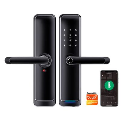 Van het de Vingerafdruk Hoofd Digitale Koord van WiFi de Biometrische Deur van het het Toetsenbord Automatische Slot met Tuya App
