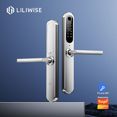 Liliwise Custom Security Elektronisch Waterdicht Ip66 Digitaal Ttlock Tuya Wifi Vingerafdruk Schuifbaar Slim Smart Door Lock