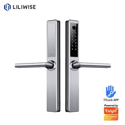 Liliwise roestvrij staal waterdicht slim slot buitenshuis Tuya Ttlock Wifi Sleutelloos slim slot met vuur