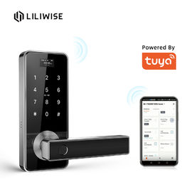Van het de Deurslot van de Tuya Biometrisch Vingerafdruk van het Handvat Digitaal Keyless Slim de Deurslot