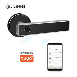 Van het de Deurslot van Tuyawifi App Bluetooth van de de Vingerafdrukdeur Biometrisch van het Handvat Digitaal Keyless Slim de Deurslot